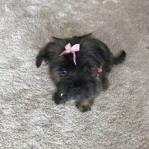 Meet your Posher, Rebecca